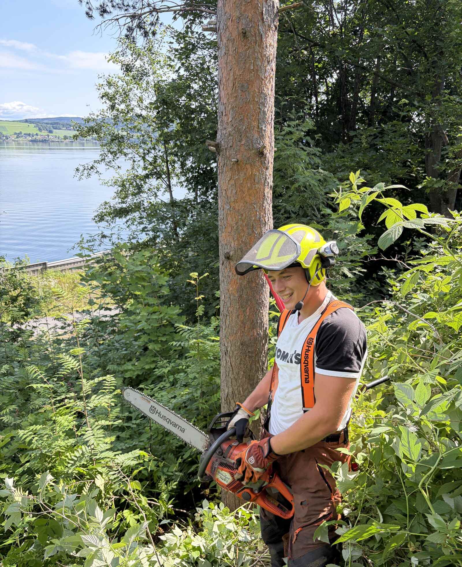 Skaugs Trefelling i arbeid, med motorsag og fullt verneutstyr ved en nyfelt furu